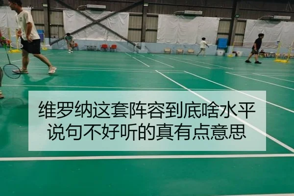 wei-luo-na-zhe-tao-zhen-rong-dao-di-sha-shui-ping-shuo-ju-bu-hao-ting-de-zhen-you-dian-yi-si-2-304.jpg