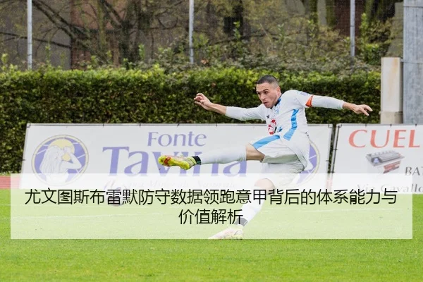 you-wen-tu-si-bu-lei-mo-fang-shou-shu-ju-ling-pao-yi-jia-bei-hou-de-ti-xi-neng-li-yu-jia-zhi-jie-xi-2-865.jpg