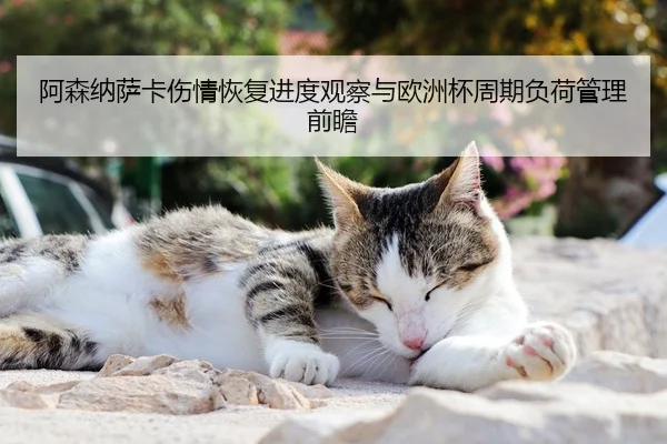 阿森纳萨卡伤情恢复进度观察与欧洲杯周期负荷管理前瞻