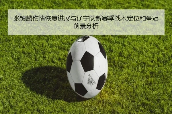 张镇麟伤情恢复进展与辽宁队新赛季战术定位和争冠前景分析